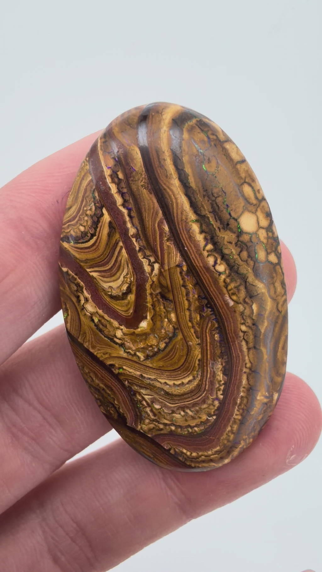74.40 ct Koroit Opal